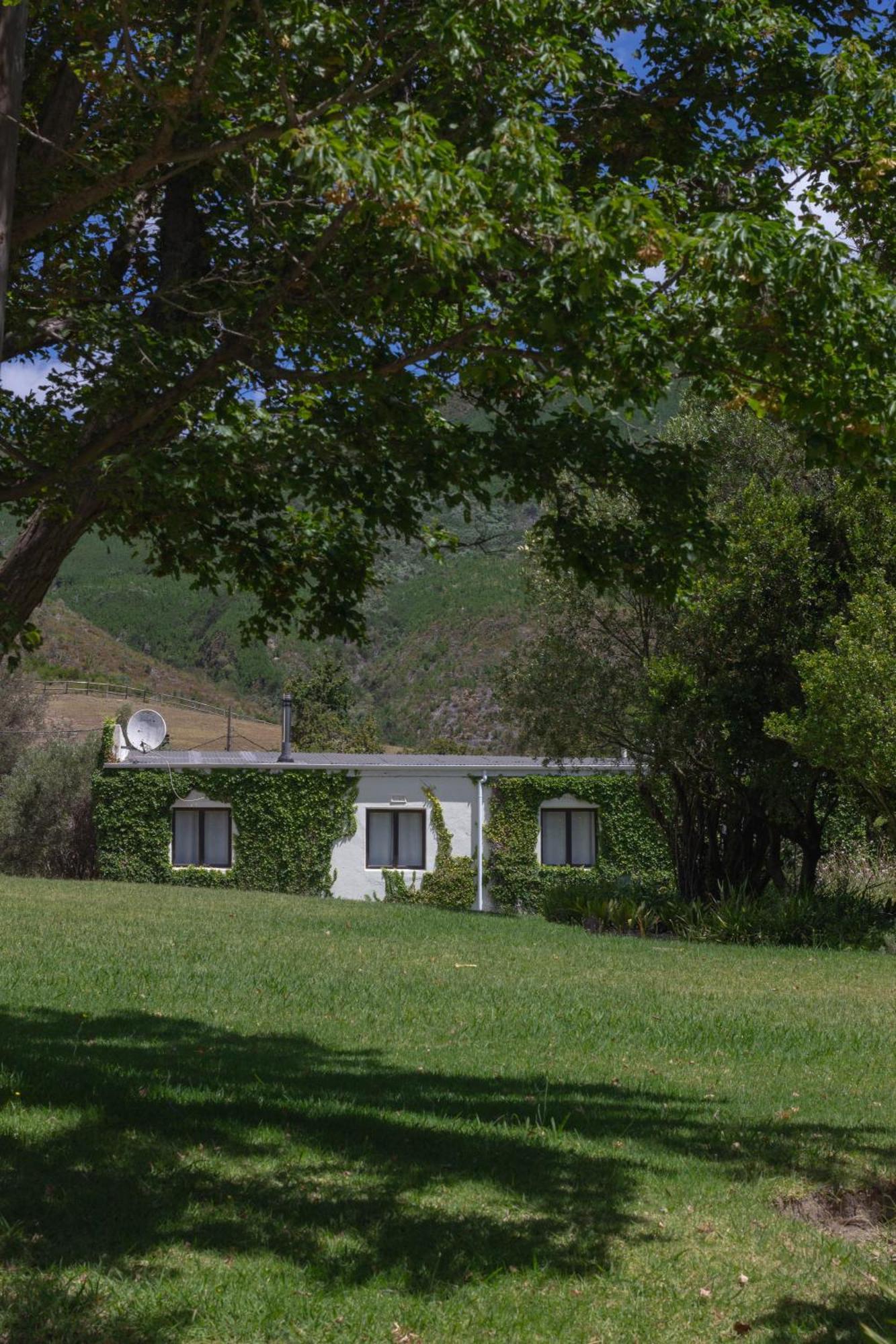 Three Streams Cottage 프란쉬후크 외부 사진